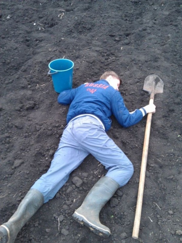 Create meme: Digging a vegetable garden jokes, digging the garden, how to dig up a vegetable garden instead of a shovel