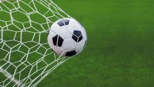 Create meme: the ball in gate on white background, european football, soccer