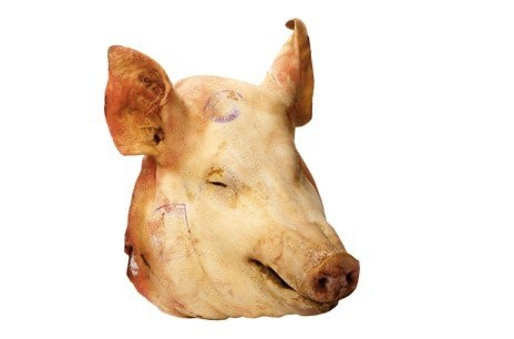 Create meme: pig's head , the pig's head, pigs