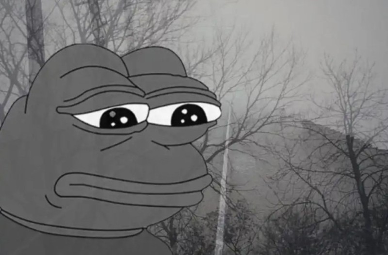 Create meme: sad toad, meme sad frog , sad frog 