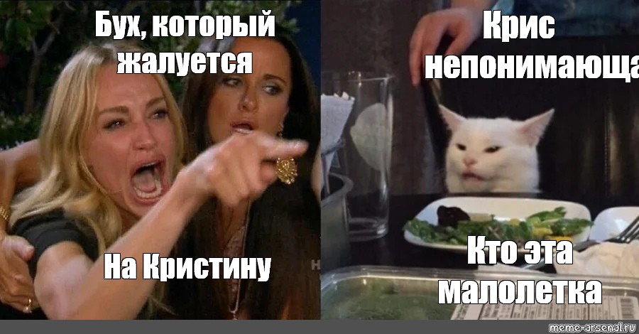 Картинка непонимающего кота