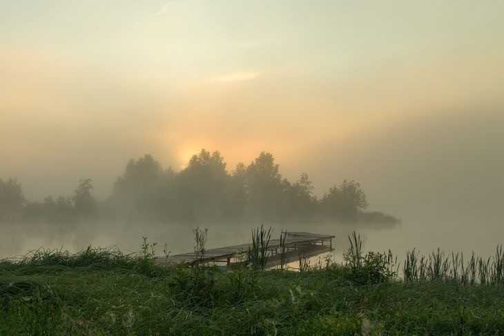 Создать мем: пейзаж, туманное утро в деревне