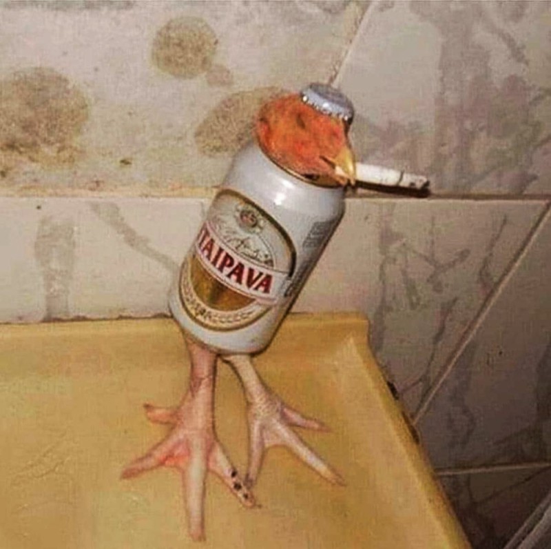 Create meme: Smoking chicken, creative chicken, chicken with a cigarette