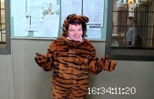 Create meme: Tigger the bouncer is our rush, tiger costume, full-length tiger costume