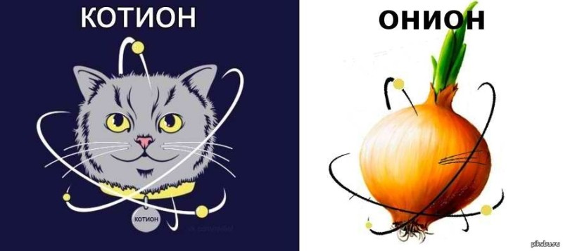 Создать мем: кот кот, кот физик, кот химик