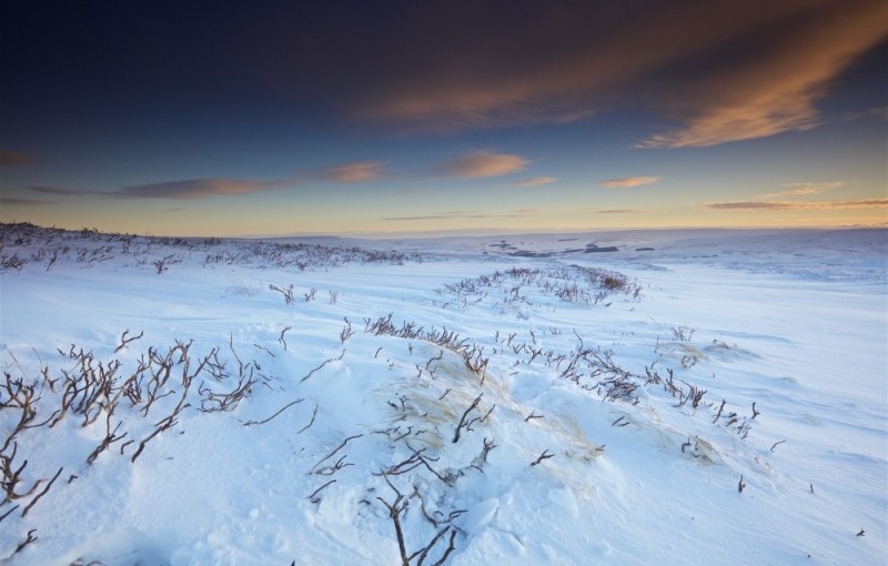 Create meme: winter tundra, winter tundra plain slope, winter nature