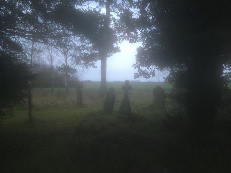 Create meme: An invisible friend, landscapes forest, cemetery in the fog