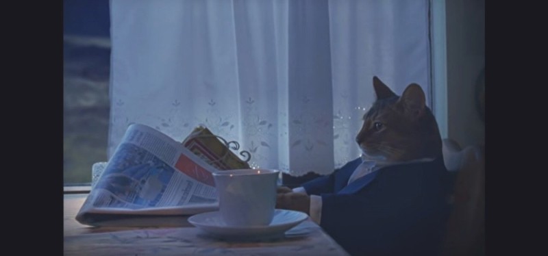 Create meme: a cat with a newspaper at the table, cat intellectual, cat with newspaper meme