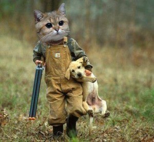 Create meme: hunter, cat and dog, cat