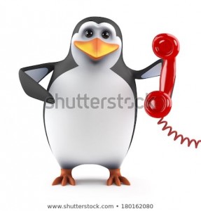 Create meme: penguin with phone template, shutterstock penguin, penguin bomb u