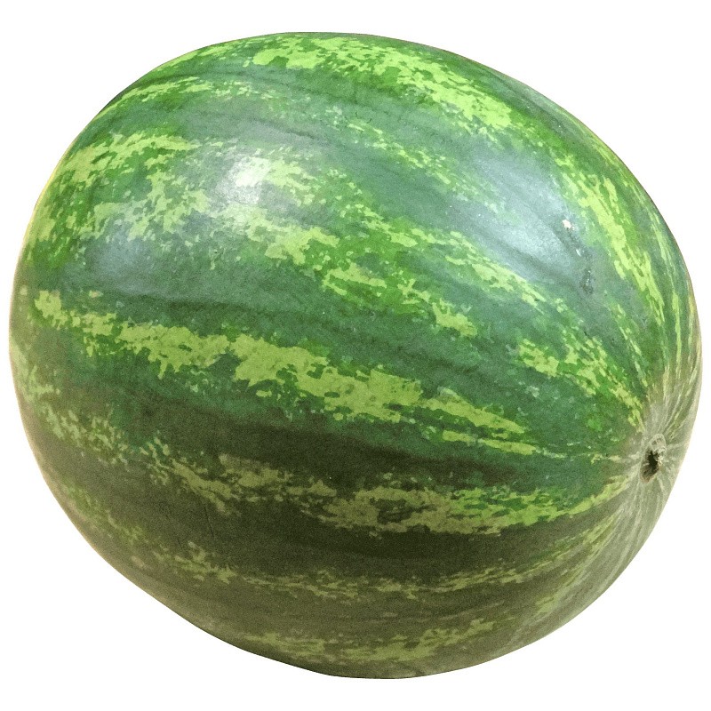 Create meme: watermelon without background, watermelon on a transparent background, watermelon on a transparent background for photoshop