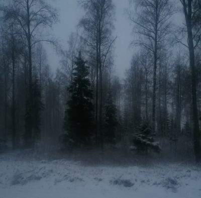 Создать мем: лес мрачный, темный лес, зима туман