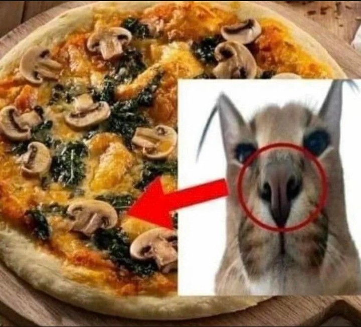 Create meme: mushroom pizza, to cook a pizza, pizza with mushrooms