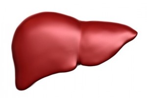 Create meme: human liver, human liver, liver