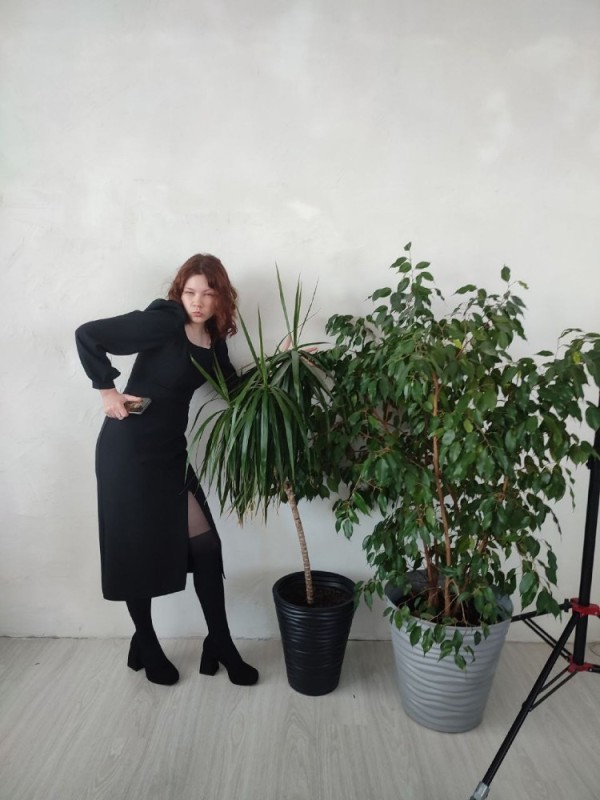 Create meme: girl , Ficus Benjamin is a large-sized, Benjamin's ficus Benjamin