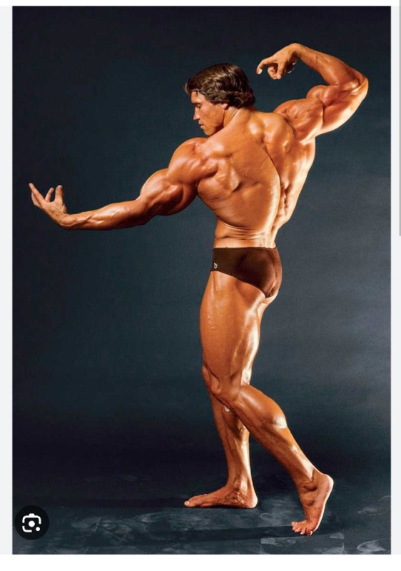 Create meme: Mr. Olympia Arnold Schwarzenegger, Arnold Schwarzenegger , Arnold Schwarzenegger posing