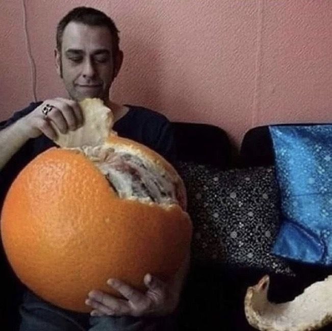 Создать мем: большие апельсины, мандарины прикол, самый большой мандарин