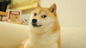 Create meme: Shiba inu meme, doge, pictures dog meme