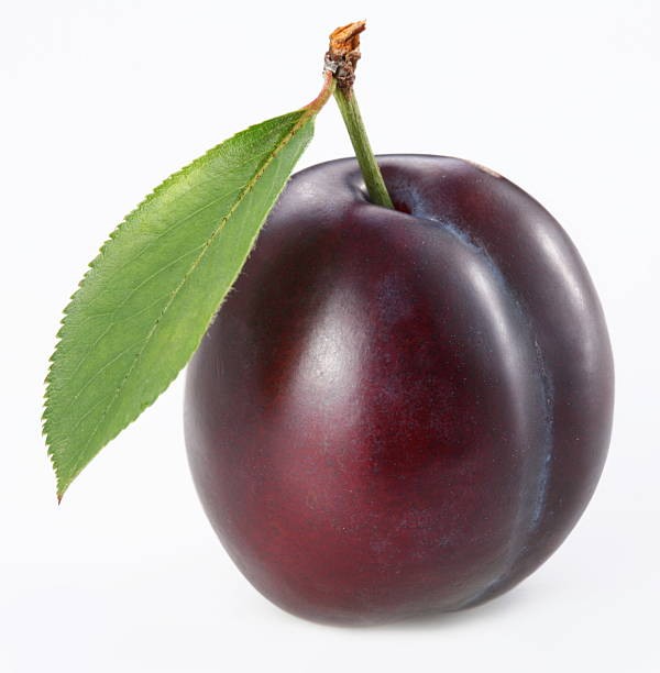 Create meme: plum of amers, plum on a transparent background, plum on a white background