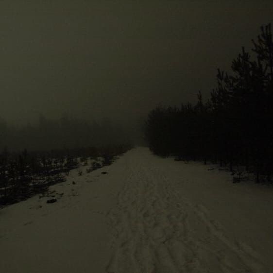 Create meme: dark forest, wasteland at night, road 