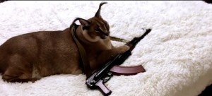 Создать мем: флоппа кот, кот, шлепа военные преступления