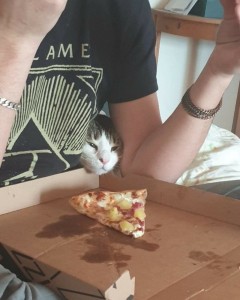 Создать мем: кот и пицца мем, пицца синица, есть пиццу
