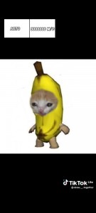 Создать мем: бурундук с бананом мем, животные смешные, я банан