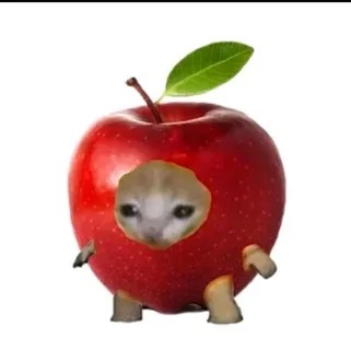 Create meme: The cat is an apple, apples, meme cat apple