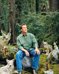 Create meme: animal, into the woods, Schwarzenegger nature meme