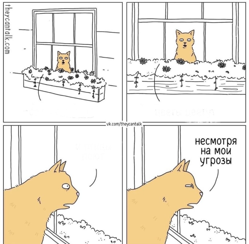 Create meme: comics with cats, cats comics, comics cats 