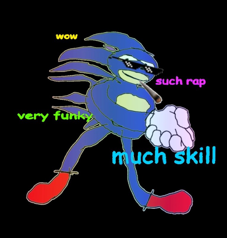 Create meme: sonic meme, sonic the Hedgehog, sanik gotta go fast