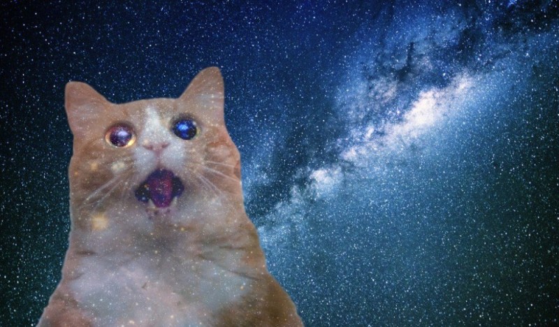 Create meme: a cat in space, surprised cat in space, the milky way 