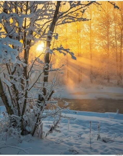 Create meme: morning in winter, winter sunset, winter sun