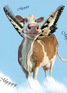 Create meme: happy cow, funny cow, cow