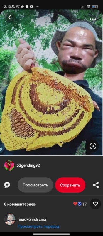 Create meme: man vs. bee, the bee's face, wild bees