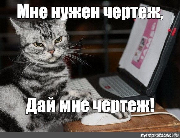 Create meme: the cat at the computer, cat , a cat with a computer