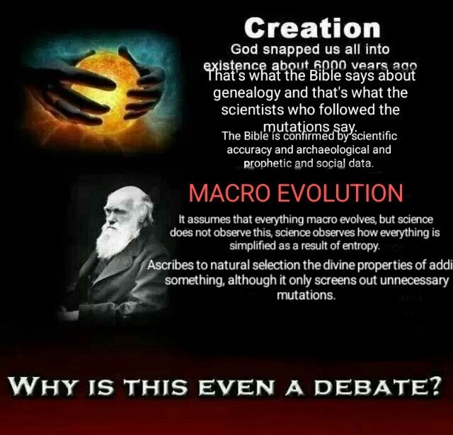 Create meme: theory of evolution, darwin theory, Charles Darwin Darwinism