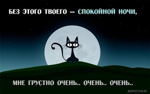 Create meme: good night sweet dreams, a night of sweet dreams, cat on the moon