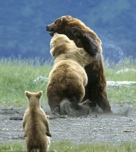 Создать мем: бурый медведь, гризли медвежонок, медведь медвежонок
