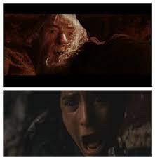 Create meme: lord of the rings run away fools, the hobbit gandalf, Gandalf 