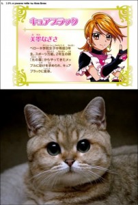 Создать мем: nekomimi, a cat, пидрила ебаная