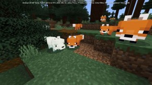 Create meme: Fox minecraft 1.14, Fox from minecraft 1.14, foxes in minecraft PE