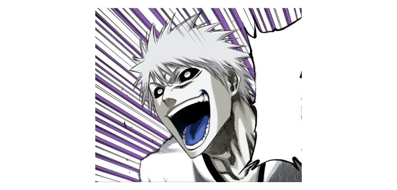 Create meme: bleach , hichigo manga, manga bleach