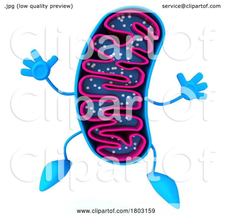 Create meme: bacteria, bacteria , bacterial cell