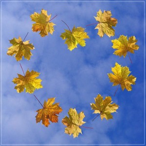 Создать мем: листья, осенний хоровод картинка, сказка про осень