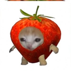 Создать мем: человек, кот яблоко гифка, кот яблоко мем