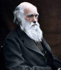 Create meme: Charles Robert Darwin, Charles Darwin