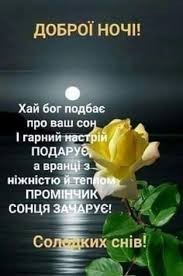 Создать мем: пожелания спокойной ночи, спокойной ночи розы жолты, красивые цитаты