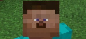 Create meme: screenshot, minecraft, the head of Steve from minecraft