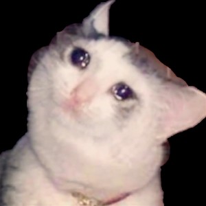 Create meme: crying cat, the crying kitten meme, cat cries PNG